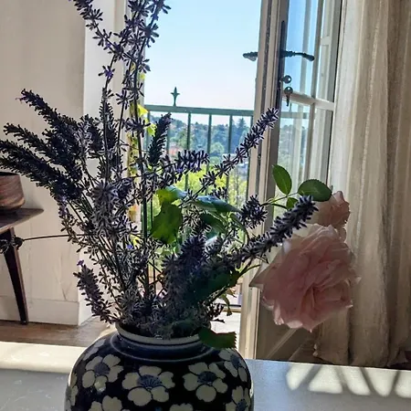 The Poppies House Villa